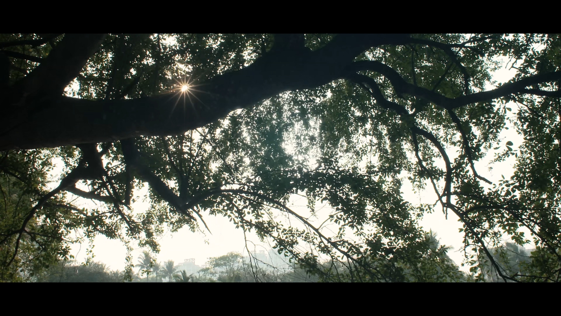 Rivers Shore — experimental cinematography frame 3 by Kamal Chhetri