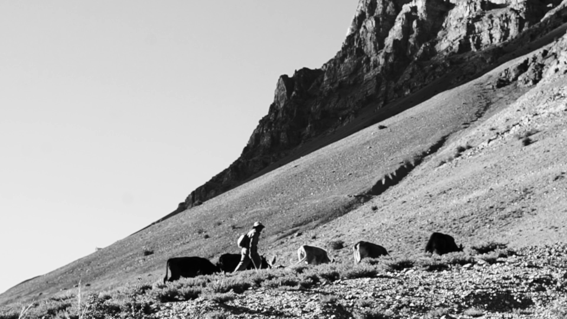 Travel Film — travel film cinematography frame 4 by Kamal Chhetri