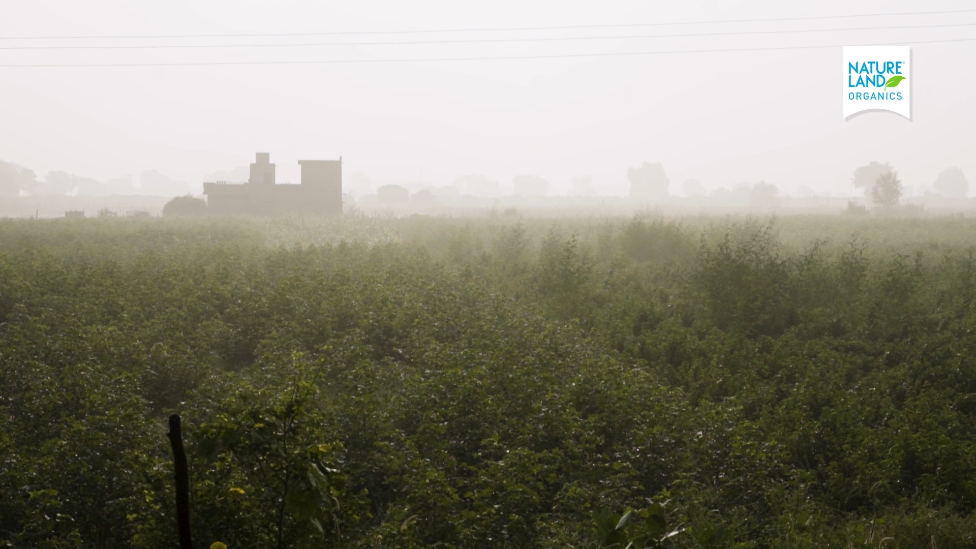 Natureland Organics — corporate film cinematography frame 1 by Kamal Chhetri