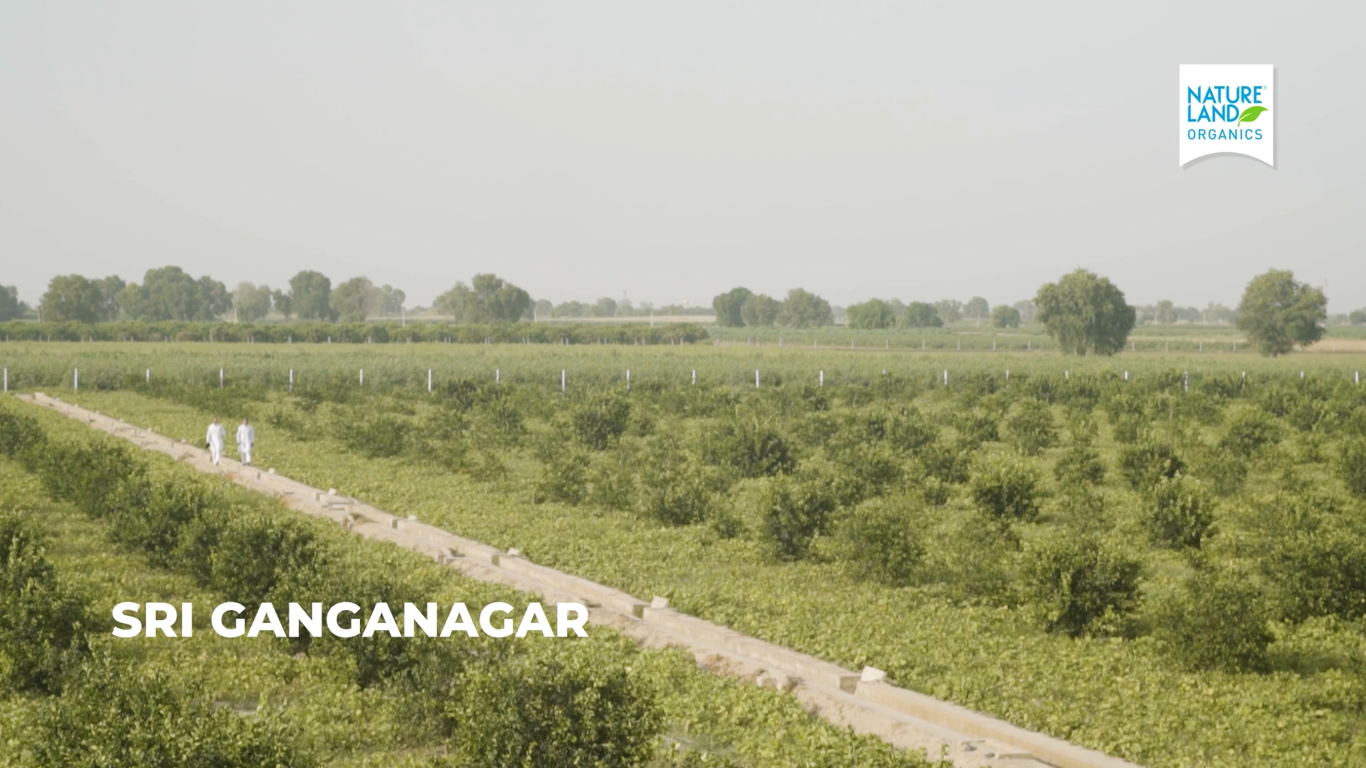 Natureland Organics — corporate film cinematography frame 2 by Kamal Chhetri