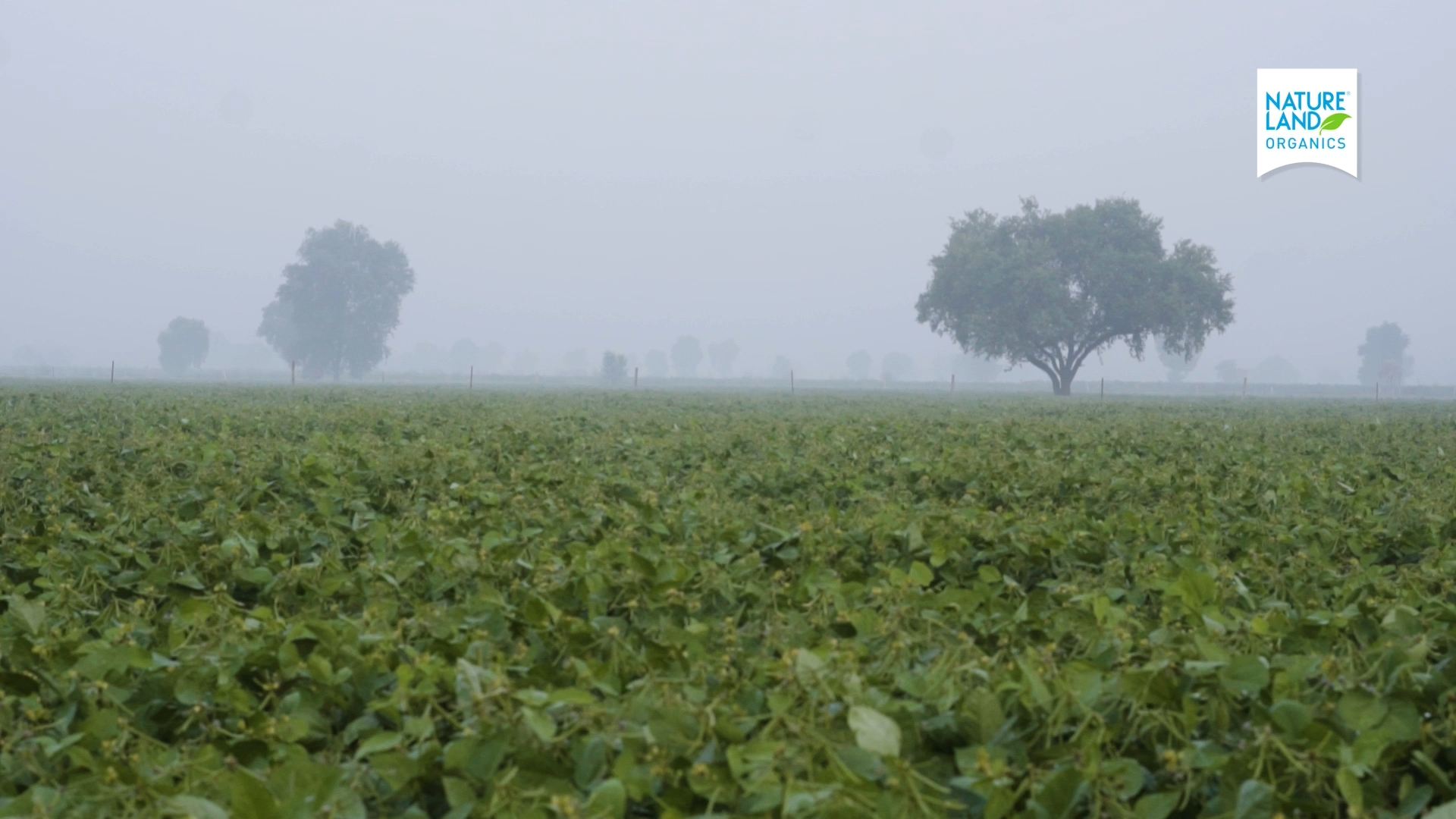 Natureland Organics — corporate film cinematography frame 3 by Kamal Chhetri