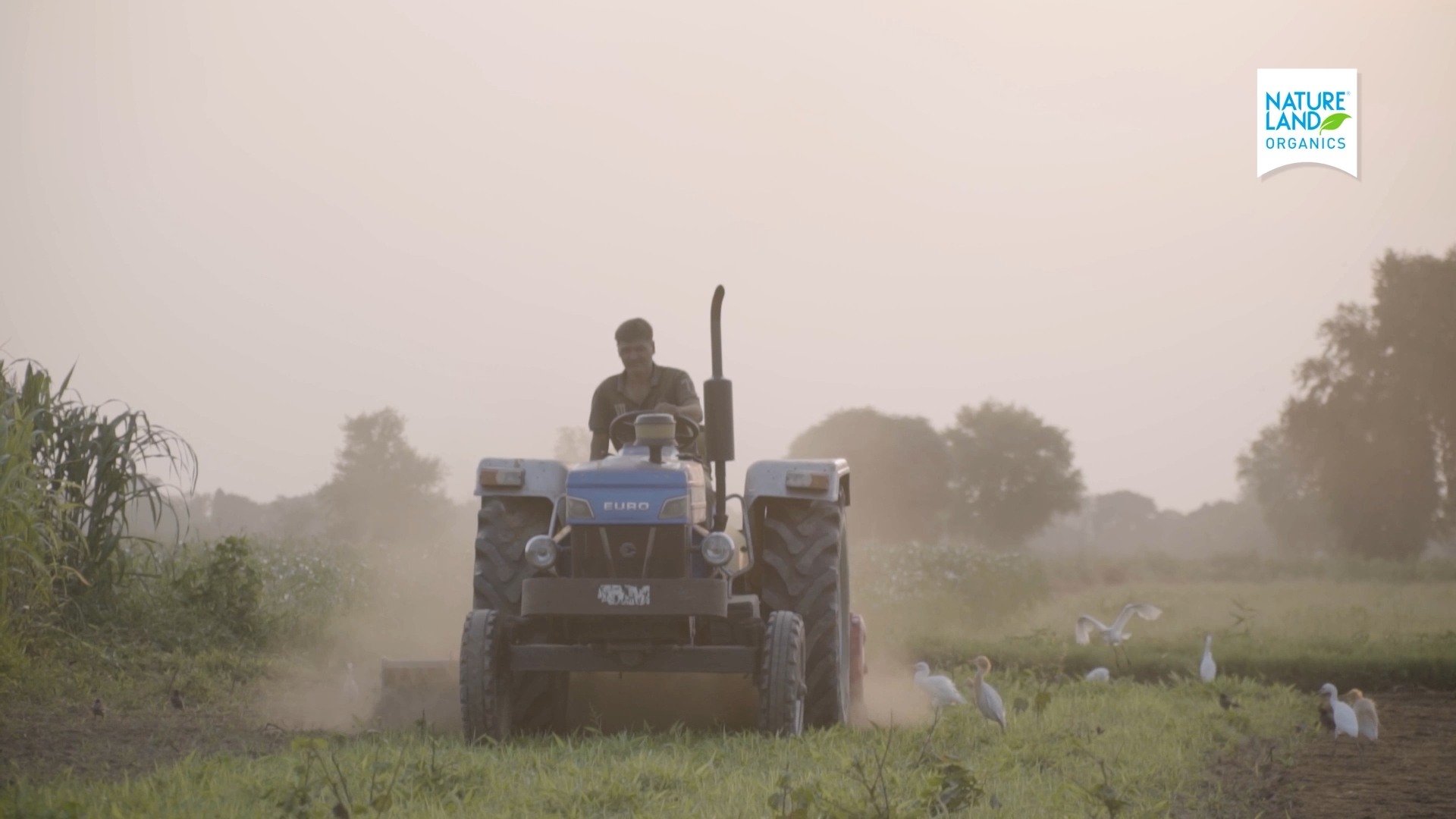 Natureland Organics — corporate film cinematography frame 7 by Kamal Chhetri