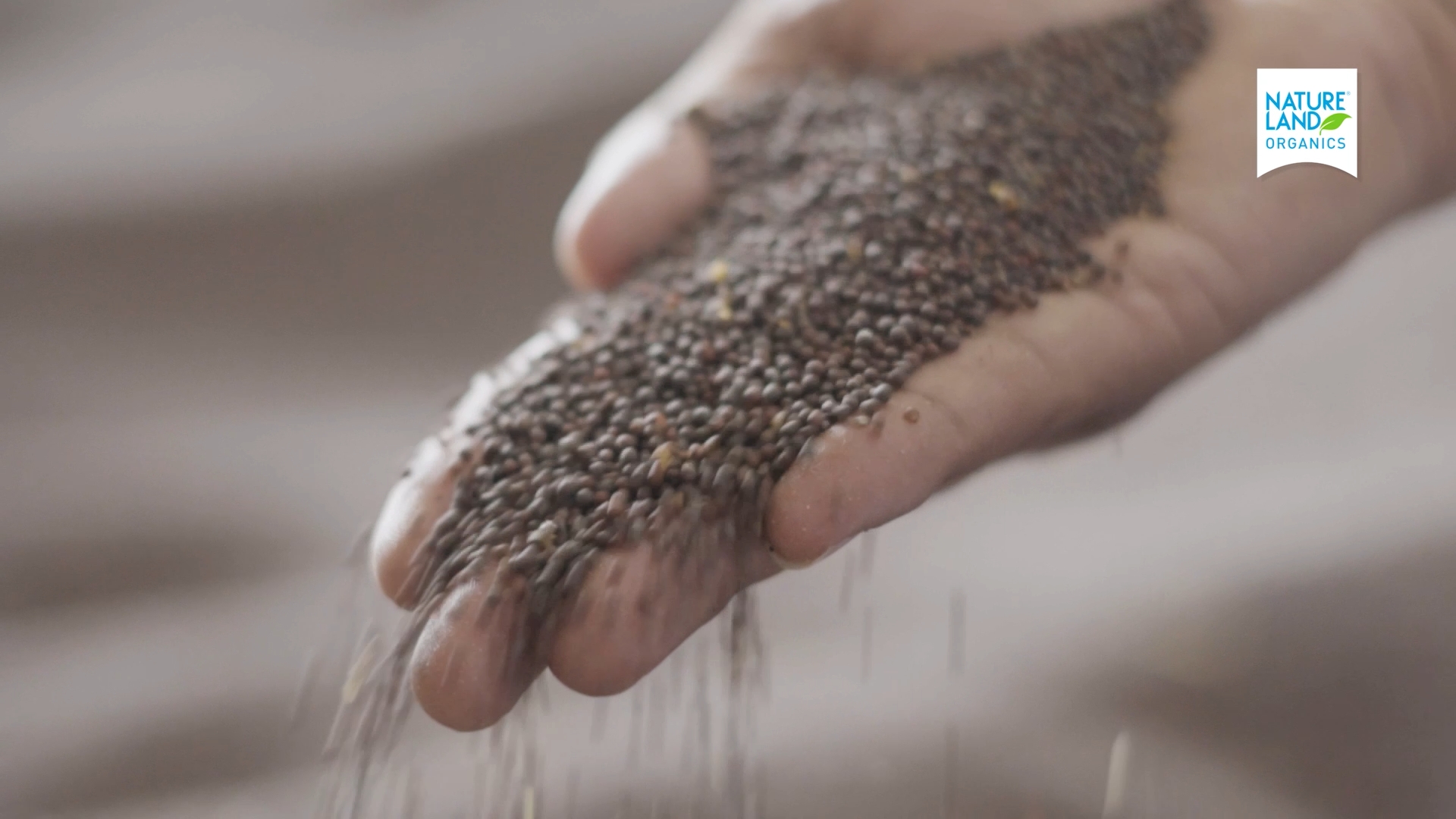 Natureland Organics — corporate film cinematography frame 9 by Kamal Chhetri