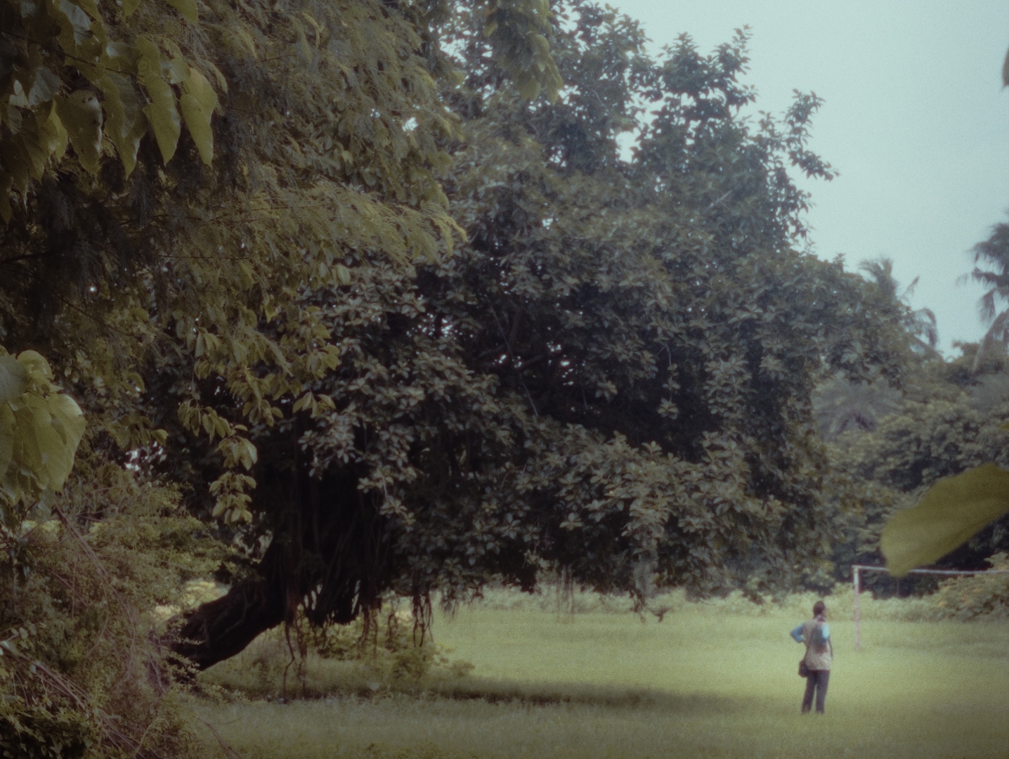 Raahgir Khada Bazaar Mein — short film cinematography frame 12 by Kamal Chhetri